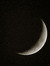 Hello_Seattle_I_Am_The_Crescent_Moon