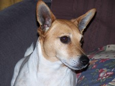 Sarah Mellington-Smith