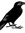 Old Crow | 8 comments