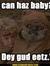 Ewok117 (Who has a cooler username than you)
