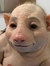 Weischris