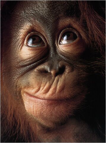Goodreads profile picture for @saya