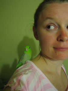 Scout Sinclair Brody