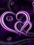 Shivani