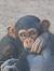 Topher ...