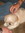 Amy Petersen | 20 comments