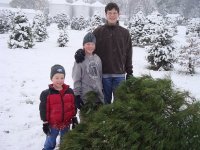 Laura Hoffman Brauman