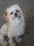 Whitney
