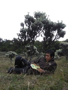 Andreas Hendra