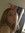Leah trent (browneyesgirl) | 13 comments