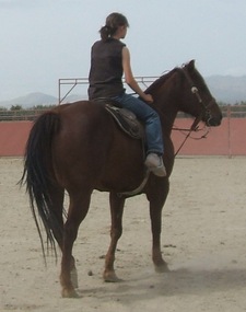 Ashly Summer Endicott