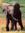 Snuffleupagus! (snuffleupagus) | 1 comments
