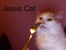 Jesus Cat