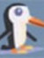 Tim