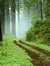 Mpnaturelover