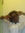 Yamilacoby coby | 7 comments