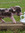 Lani | 5 comments