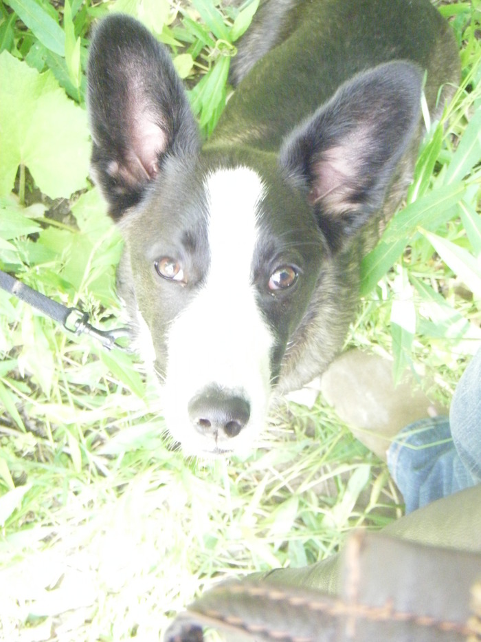 Goodreads profile picture for @whistles