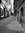 Nafise 983 | 19 comments