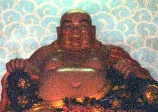 zen tao
