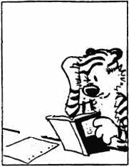 Matt Allen