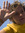 Marijn