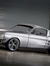 mustang lover