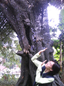 Admariis Roonz