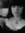Lynne