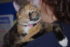 Marie (IfCatsCouldRead)