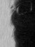 Sadeq