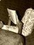 Nedy