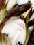 Marz Poynter