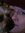 Faith Hurst-Bilinski (faith_hurstbilinski) | 2 comments