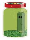 The G-pickle (sammy)