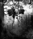 Pamela( ♥Fall♥)