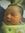 Aldillah (ayyesha) | 2 comments