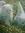 Kitty Saunders | 57 comments