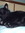 Saffy