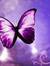 Faerydae