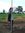 Wisnu R...