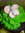 Nam | 3 comments