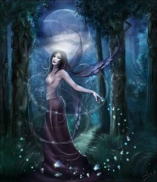 Book Reader Fairy