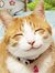 Kathie