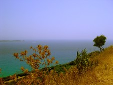 Efthimis Papaefthimiou