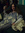 Nancy (nancyrowina) | 1 comments