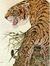 Jenny Thayer