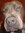 Kaylam713 | 5 comments