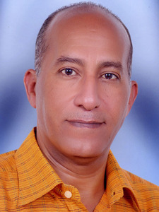 علي الفارسي