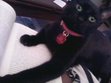 Kevyn